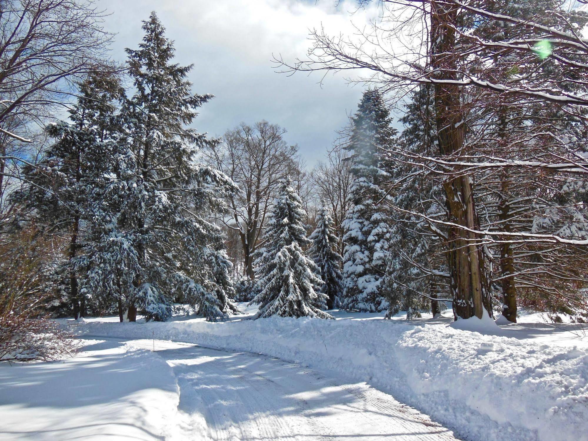 Millbrook Country House Екстер'єр фото